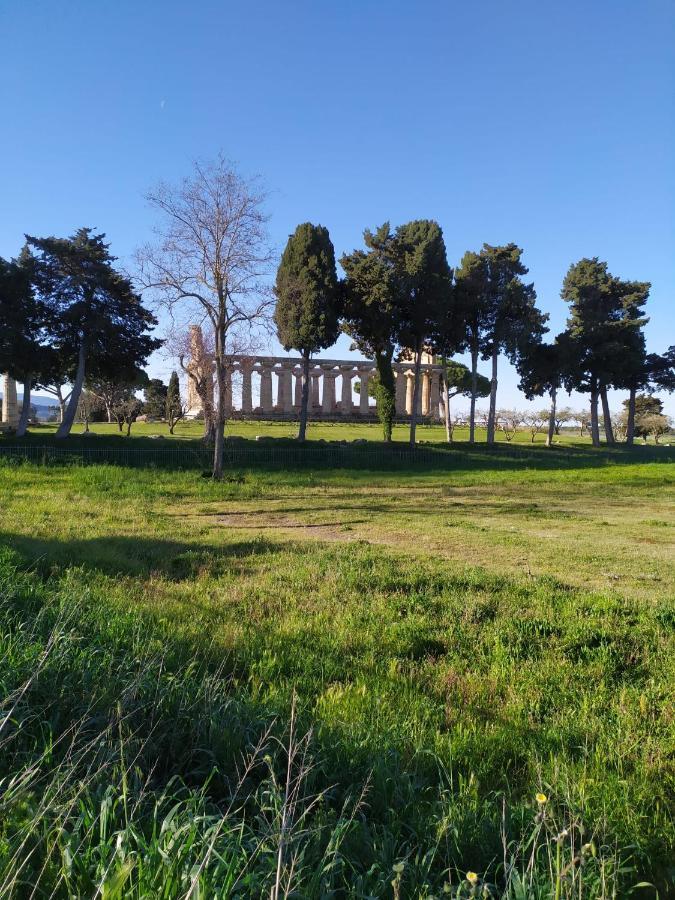 Goethe Paestum House Διαμέρισμα Εξωτερικό φωτογραφία